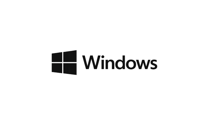 Microsoft Windows server administration and support